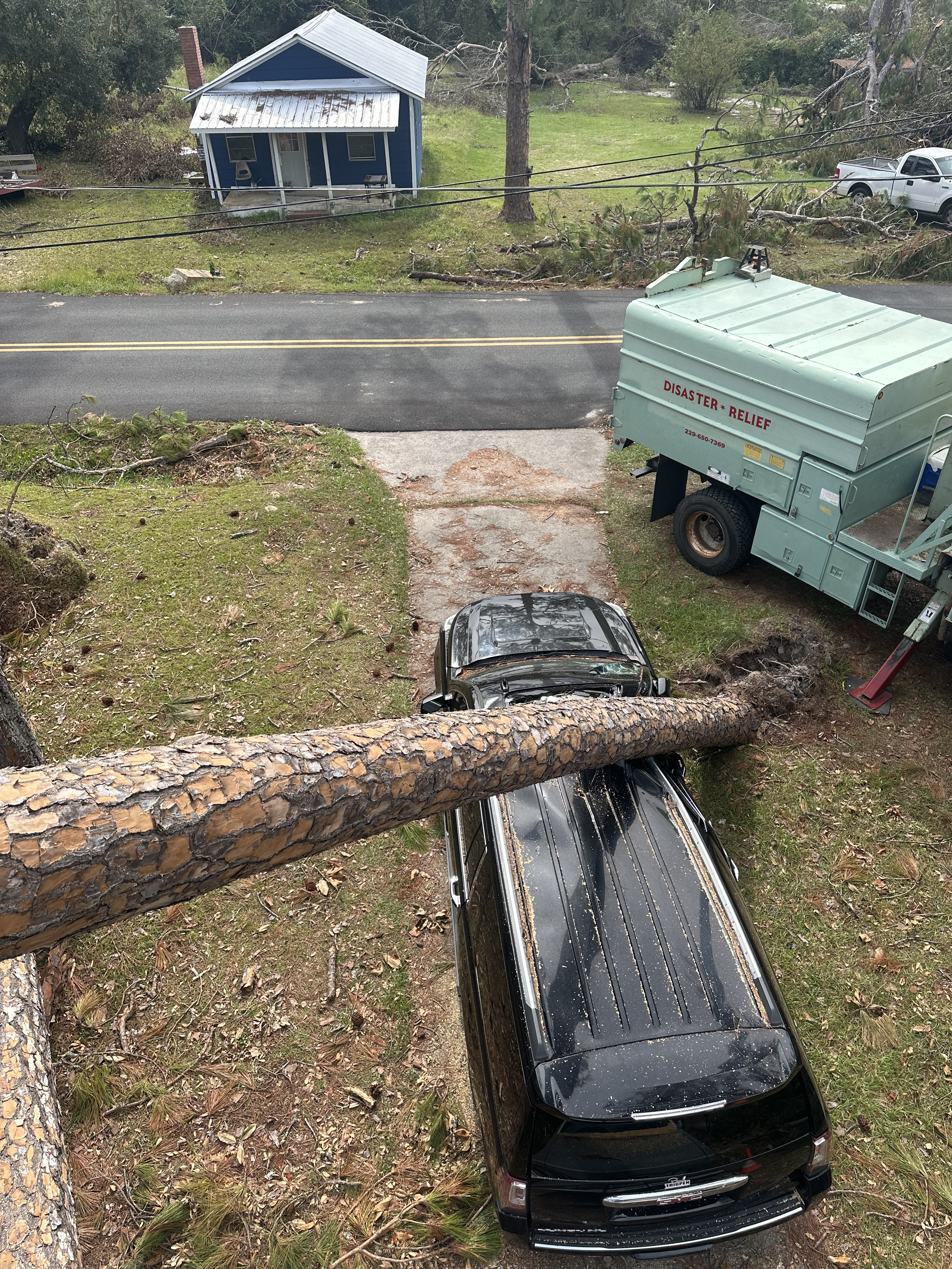 Emergency tree care for a storm damaged tree