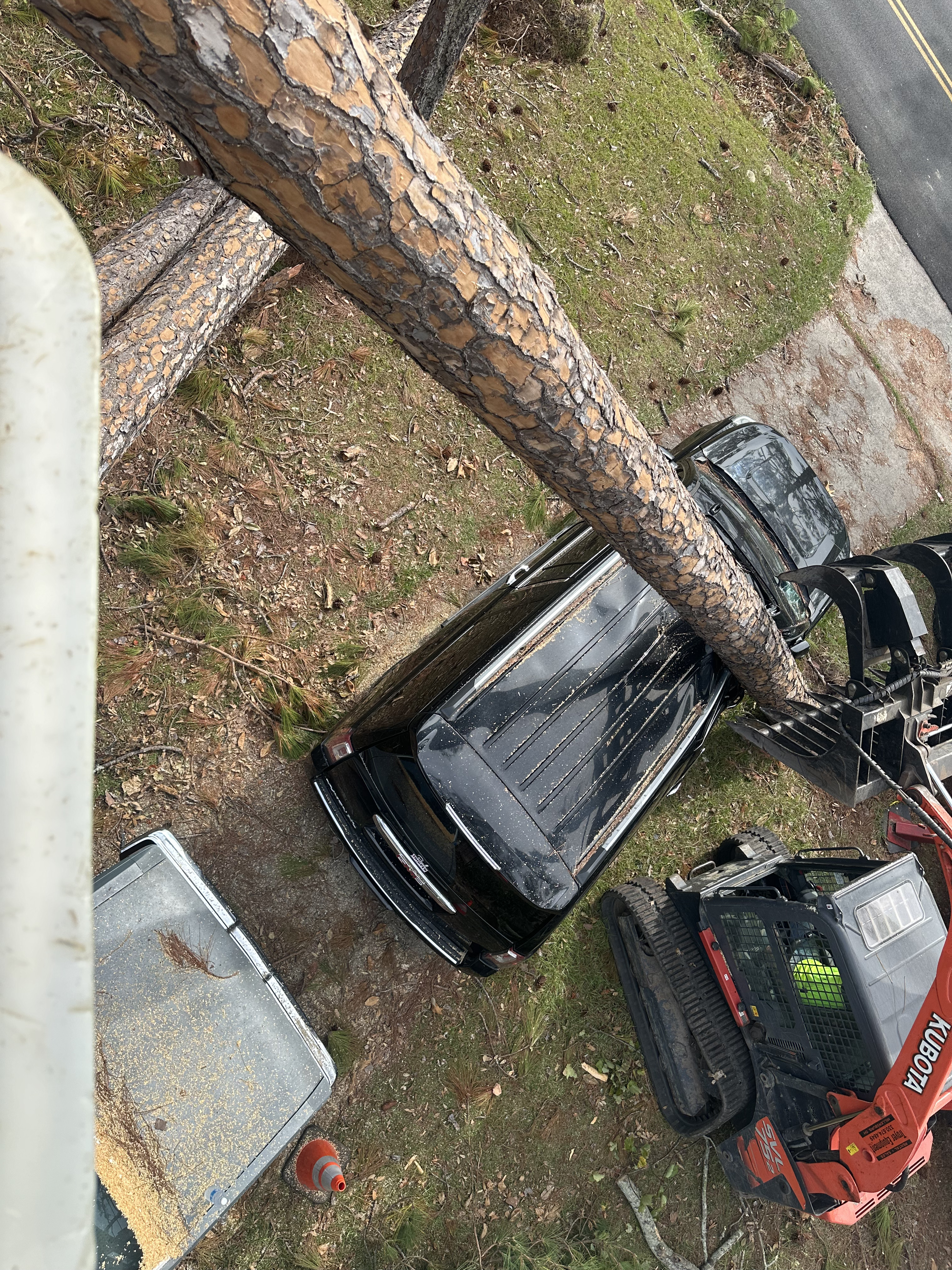Tree care work in Canton Ohio