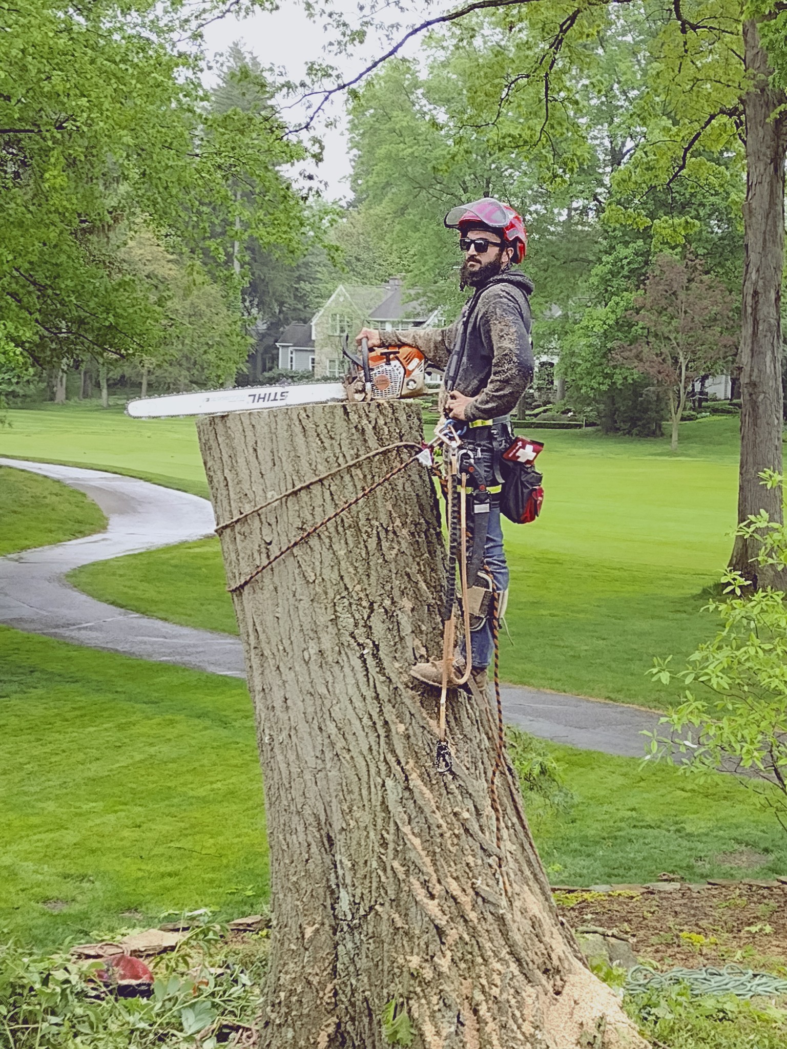 Tree and property service work in Canton Ohio